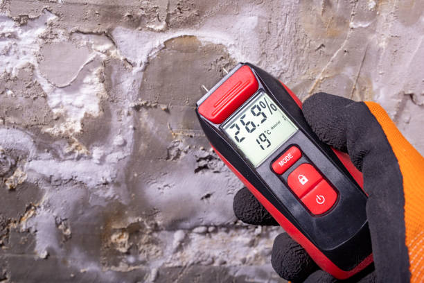 Best Commercial Mold Remediation in Emmon, AK