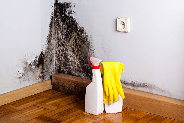 Trusted Emmonak, AK Mold Remediation Experts