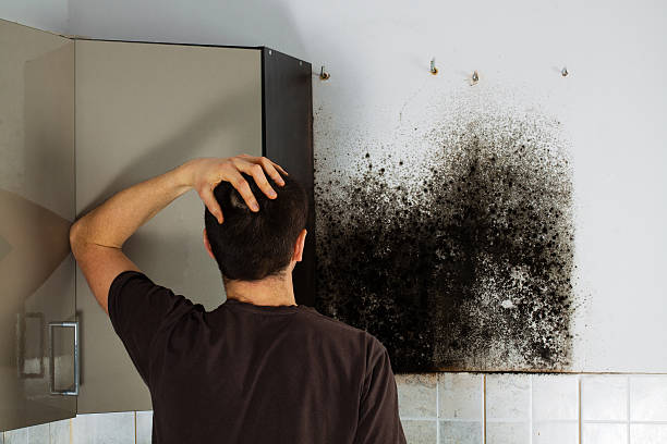 Best Kitchen Mold Remediation in Emmon, AK