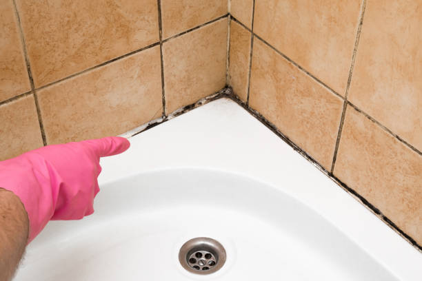 Best Mold Remediation for Schools in Emmon, AK